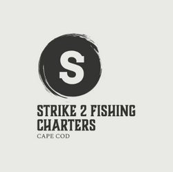 Strike 2 Fishing Charters