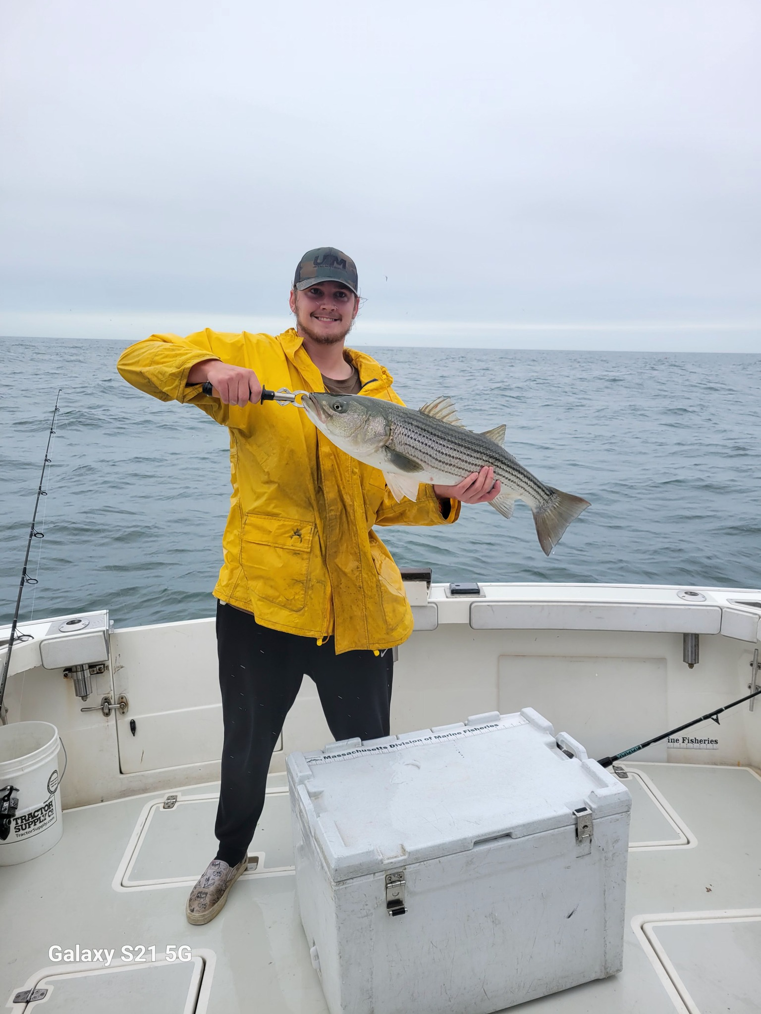 Fishing Report In Cape Cod 